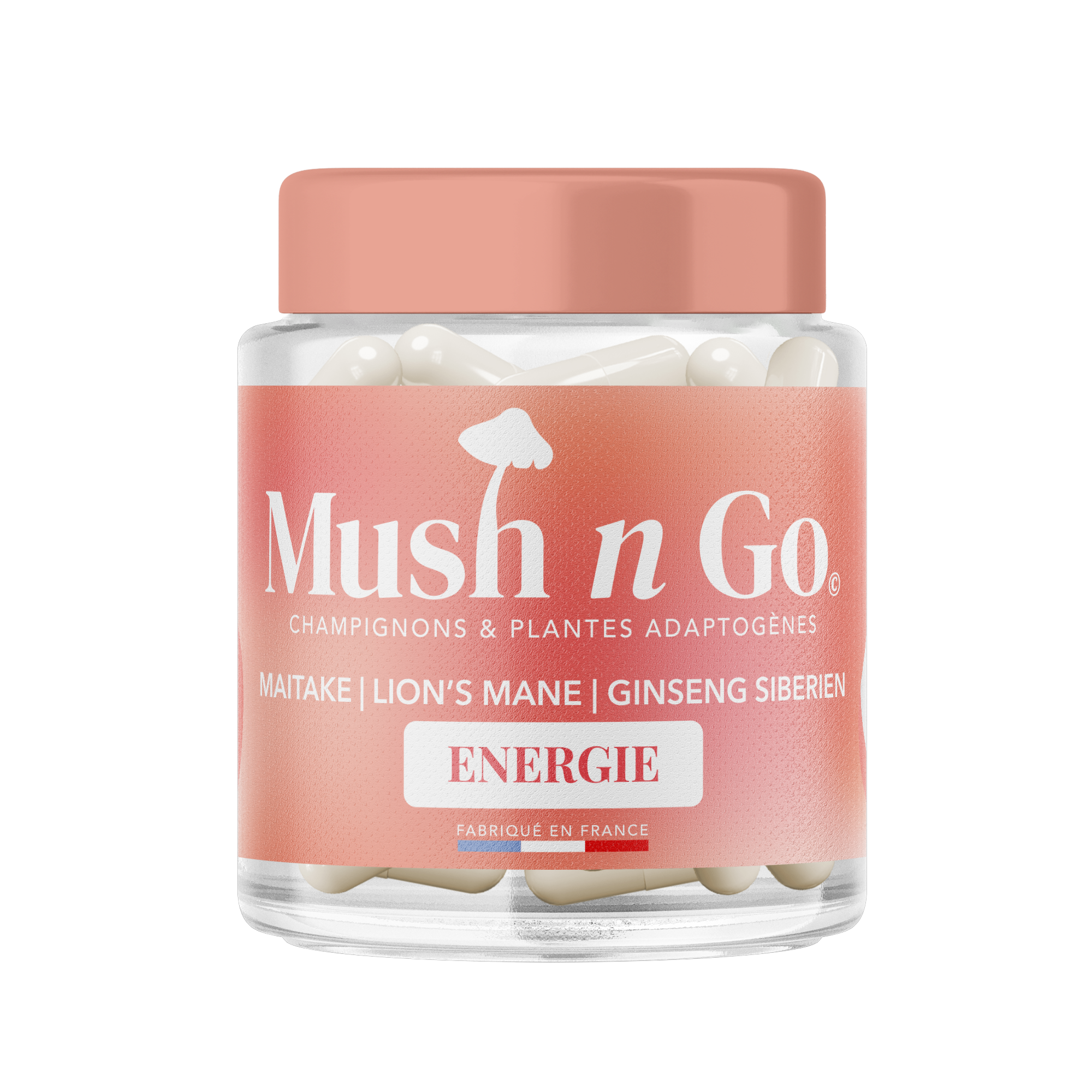 Mushngo Energie