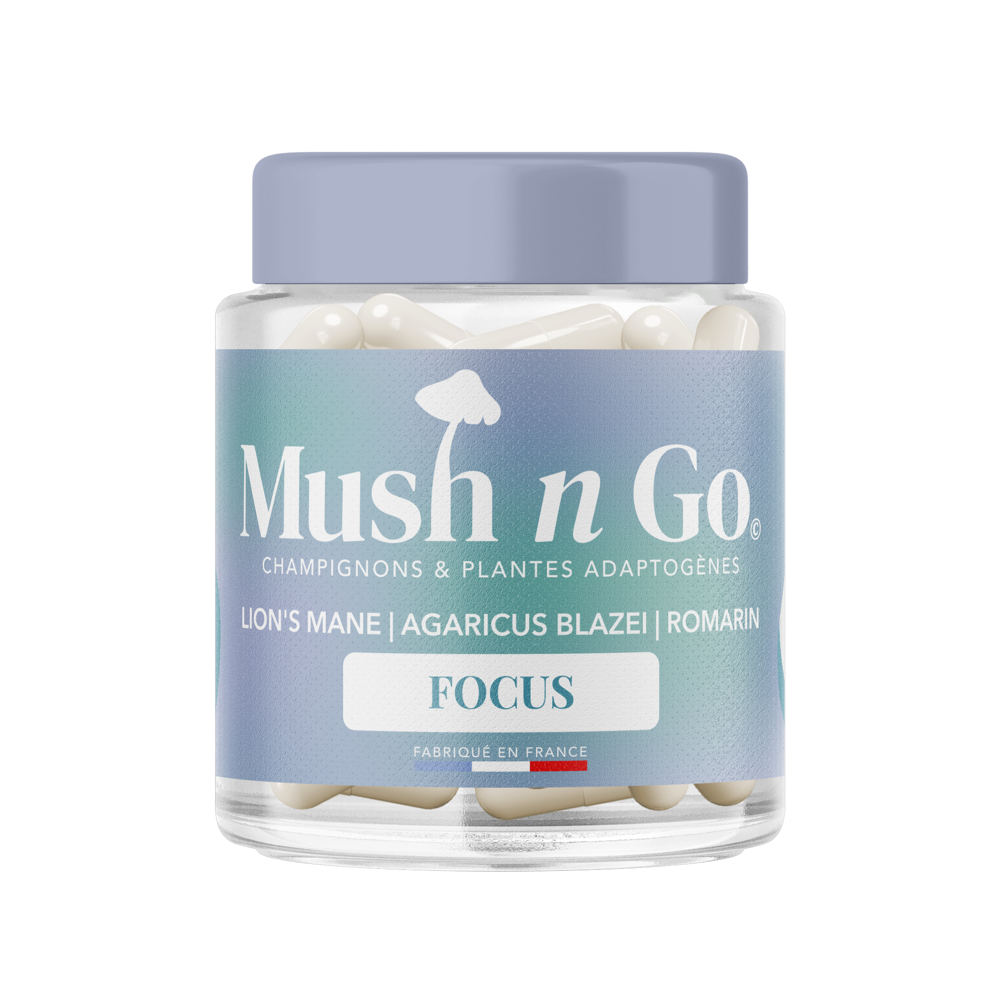 Mushngo Focus