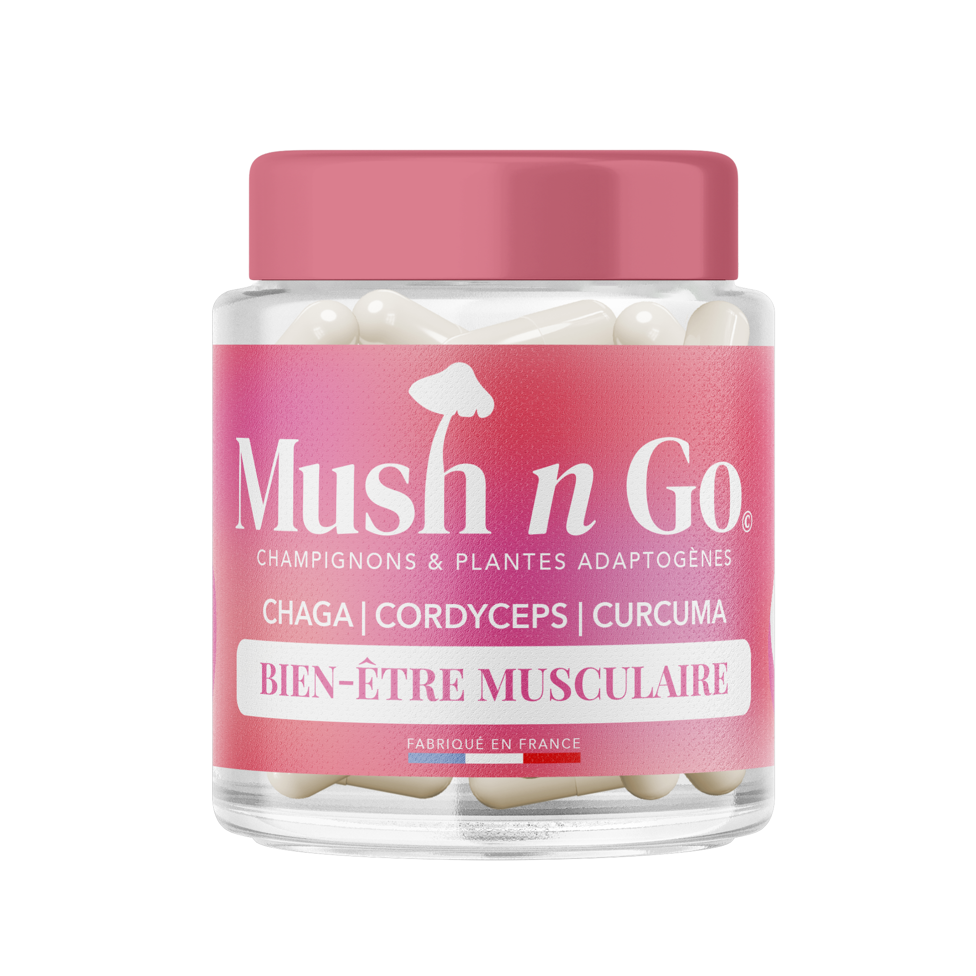Mushngo Muscu